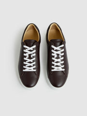 Leather Low-Top Trainers Plum Purple | Mens