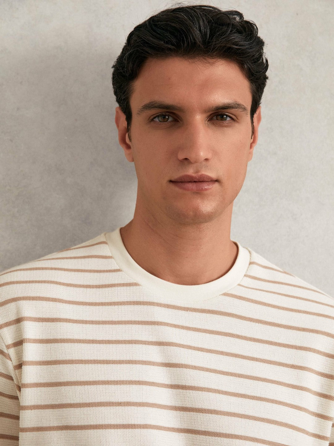 Cotton Textured Stripe T-Shirt Oatmeal/White | Mens