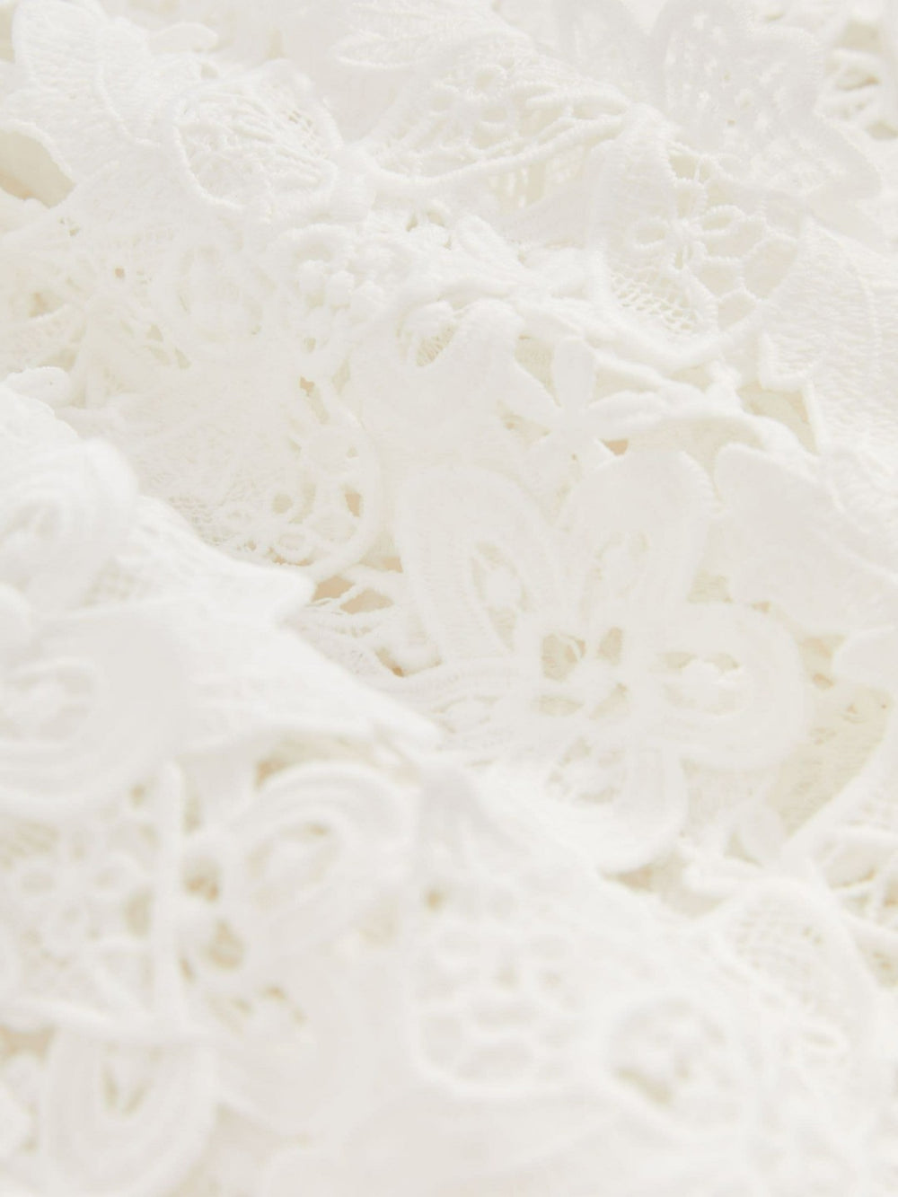Cotton Cut Out Lace Cami Top Ivory | Womens